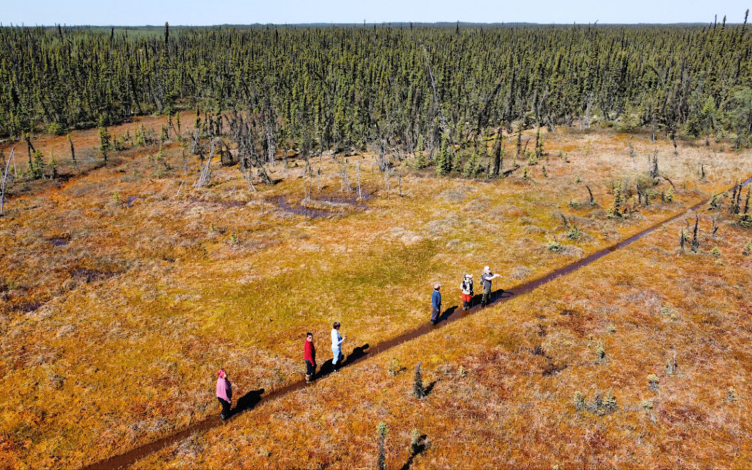 Native Guardians: Canada’s First Nations Move to Protect Their Lands – Yale E360 – e360.yale.edu